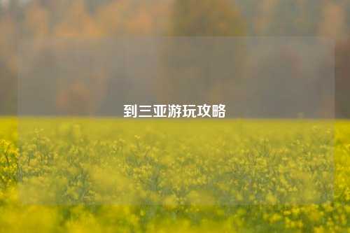 到三亚游玩攻略