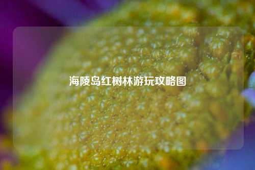 海陵岛红树林游玩攻略图