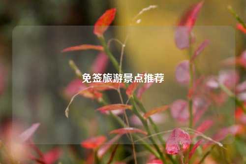 免签旅游景点推荐