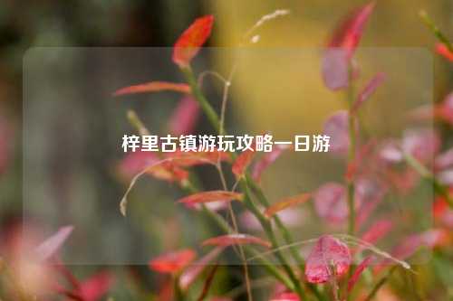 梓里古镇游玩攻略一日游