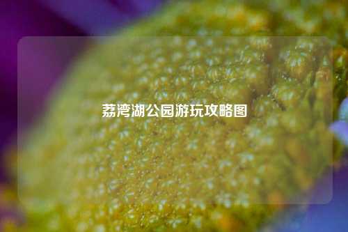 荔湾湖公园游玩攻略图