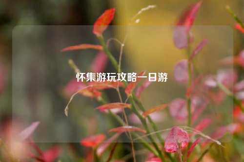 怀集游玩攻略一日游