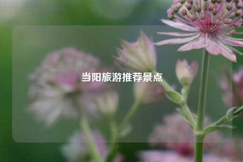 当阳旅游推荐景点
