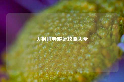大相国寺游玩攻略大全