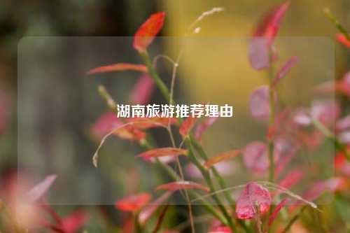湖南旅游推荐理由