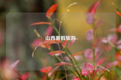 山西暑假旅游