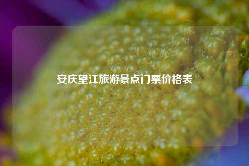 安庆望江旅游景点门票价格表