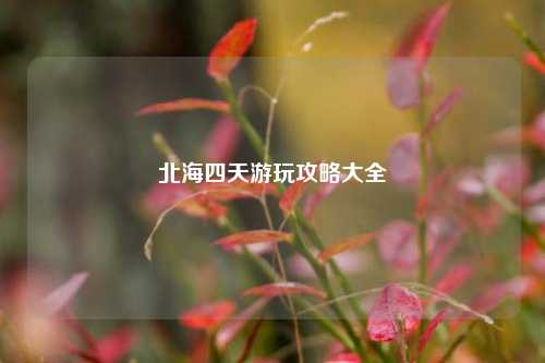 北海四天游玩攻略大全