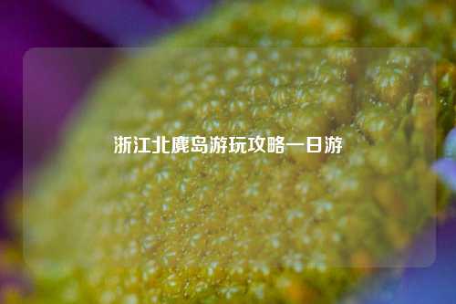 浙江北麂岛游玩攻略一日游