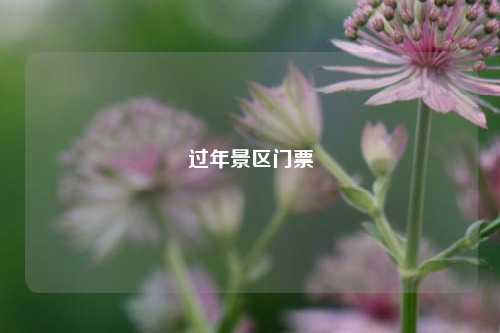 过年景区门票