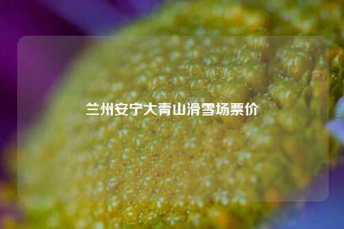 兰州安宁大青山滑雪场票价