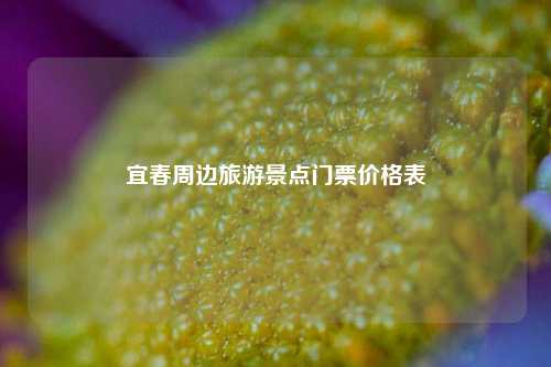 宜春周边旅游景点门票价格表