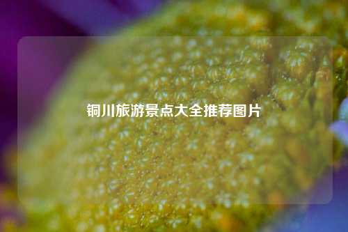 铜川旅游景点大全推荐图片