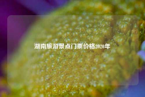 湖南旅游景点门票价格2020年