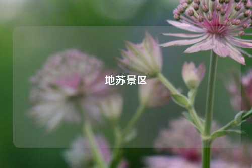 地苏景区