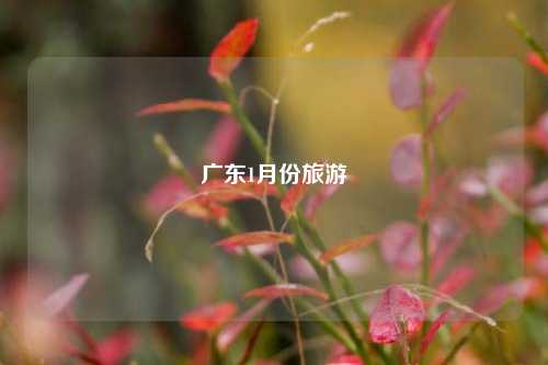 广东1月份旅游