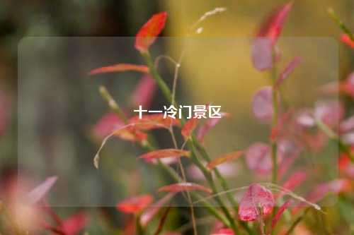 十一冷门景区