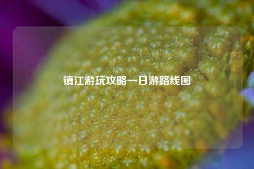 镇江游玩攻略一日游路线图
