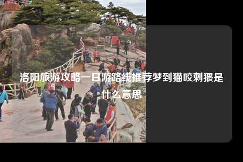 洛阳旅游攻略一日游路线推荐梦到猫咬刺猥是什么意思
