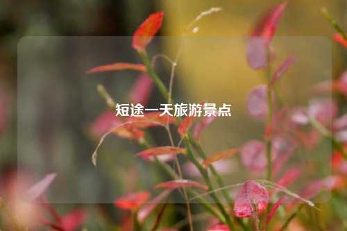 短途一天旅游景点
