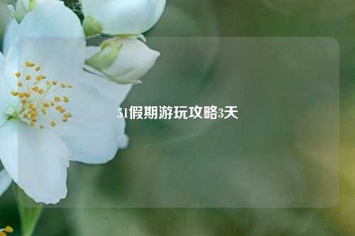 51假期游玩攻略3天