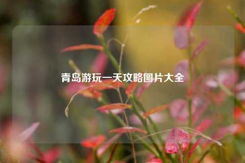 青岛游玩一天攻略图片大全