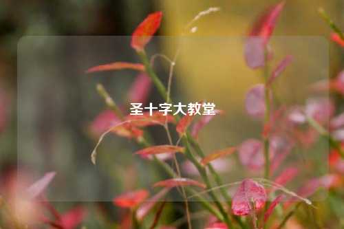 圣十字大教堂
