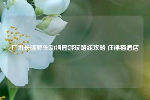 广州长隆野生动物园游玩路线攻略 住熊猫酒店