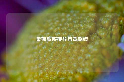暑期旅游推荐自驾路线