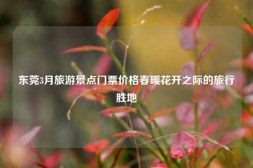 东莞3月旅游景点门票价格春暖花开之际的旅行胜地