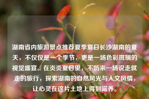 湖南省内旅游景点推荐夏季夏日长沙湖南的夏天，不仅仅是一个季节，更是一场色彩斑斓的视觉盛宴。在炎炎夏日里，不妨来一场说走就走的旅行，探索湖南的自然风光与人文风情，让心灵在这片土地上得到滋养。