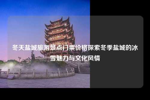 冬天盐城旅游景点门票价格探索冬季盐城的冰雪魅力与文化风情