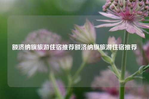 额济纳旗旅游住宿推荐