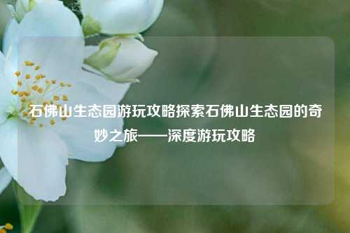 石佛山生态园游玩攻略探索石佛山生态园的奇妙之旅——深度游玩攻略