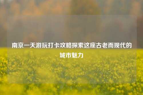 南京一天游玩打卡攻略探索这座古老而现代的城市魅力