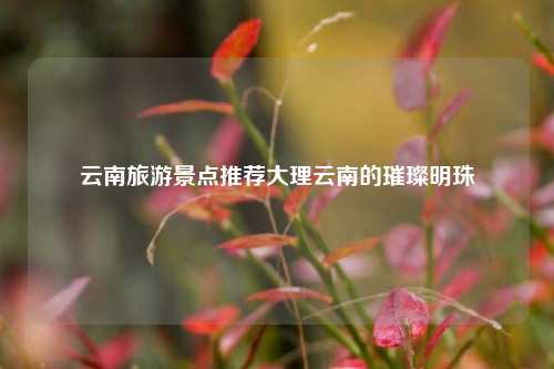 云南旅游景点推荐大理云南的璀璨明珠