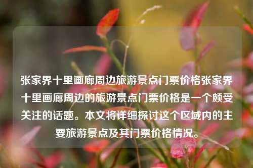 张家界十里画廊周边旅游景点门票价格张家界十里画廊周边的旅游景点门票价格是一个颇受关注的话题。本文将详细探讨这个区域内的主要旅游景点及其门票价格情况。