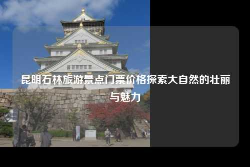 昆明石林旅游景点门票价格探索大自然的壮丽与魅力